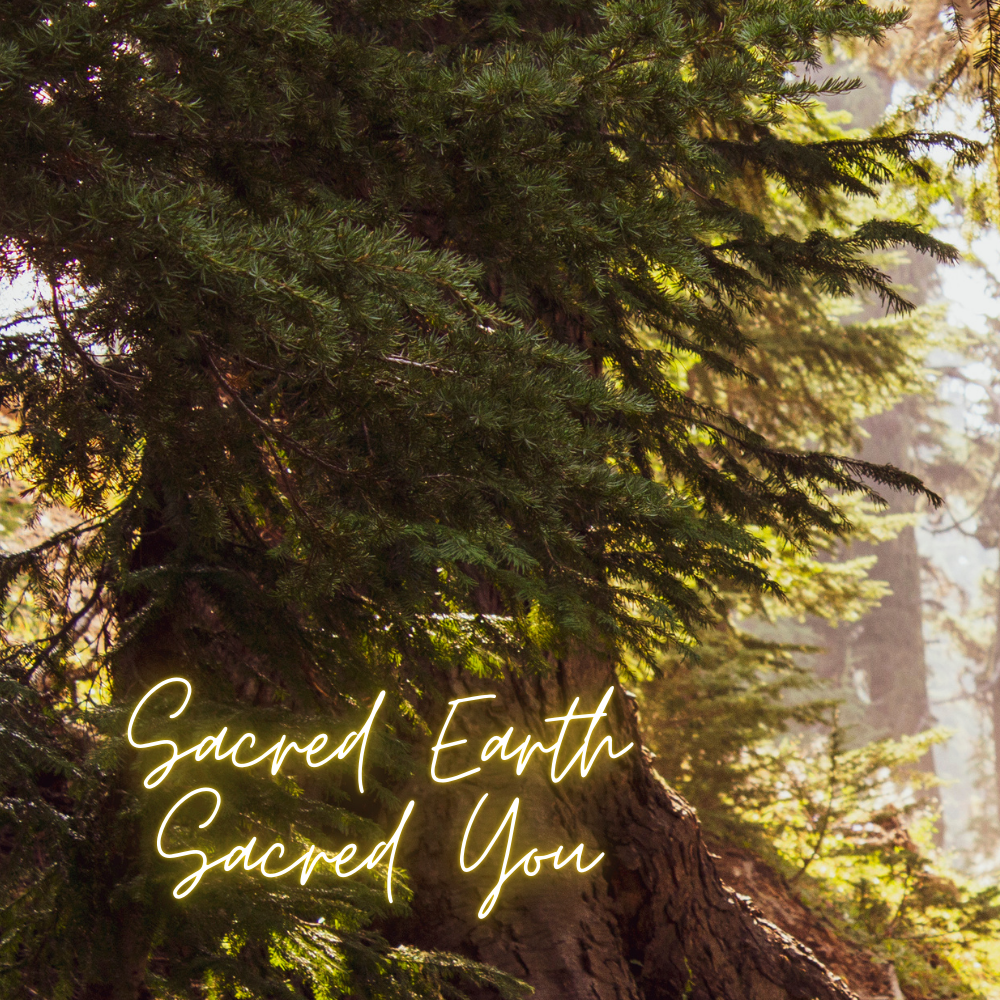 Sacred Earth Sacred You